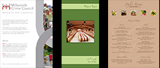 Graphics work samples